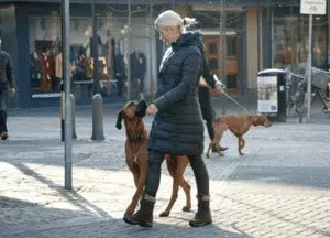 Gedragstherapeut voor honden Mandy van Gelder doet de hondentraining met een hond volgens de Bend-to-Assent methode. Hond luistert bij het loslopen.