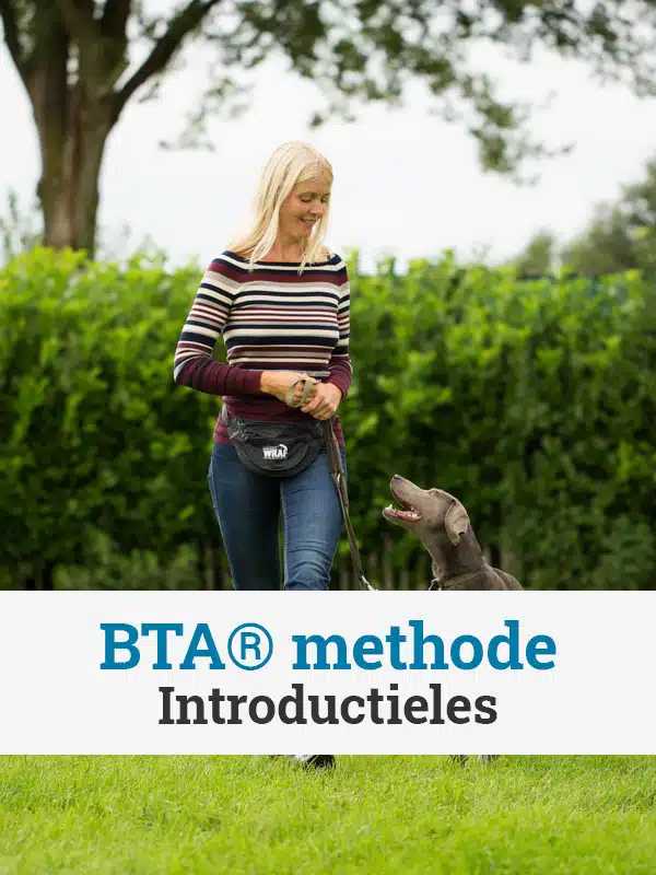 Introductieles BTA® methode