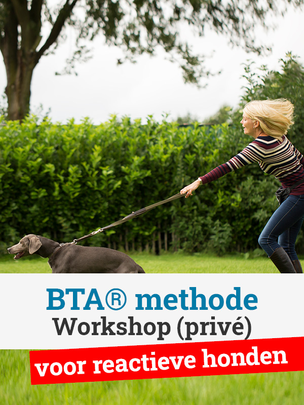 Workshop BTA® methode voor reactieve honden (privé)