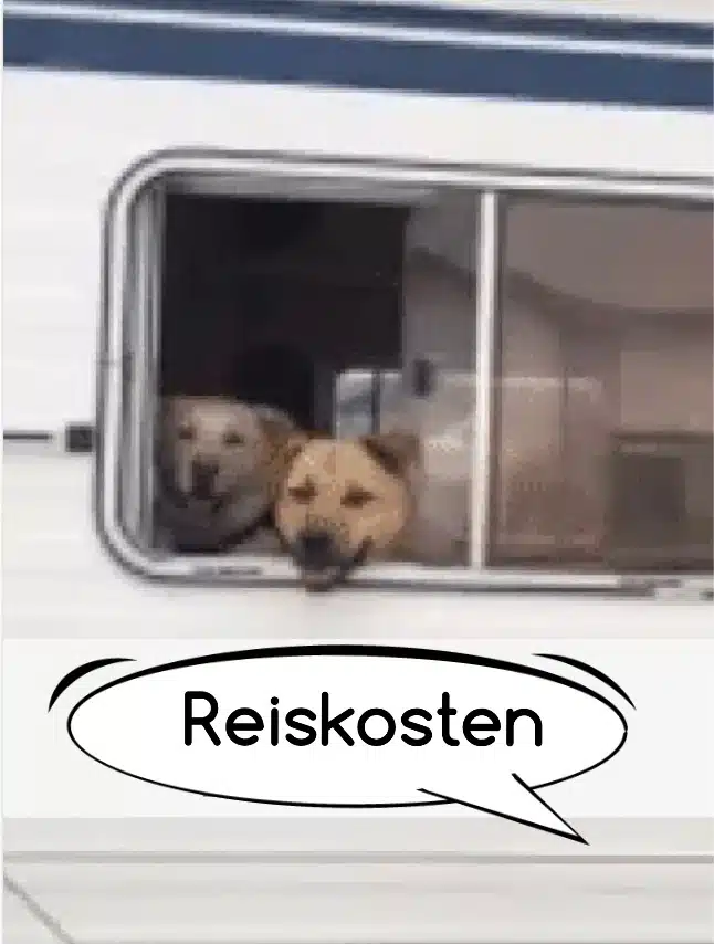 Reiskosten per half uur