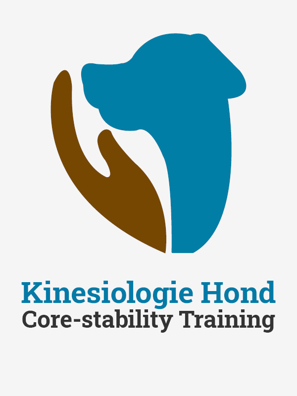 Core-stability training (kinesiologie)