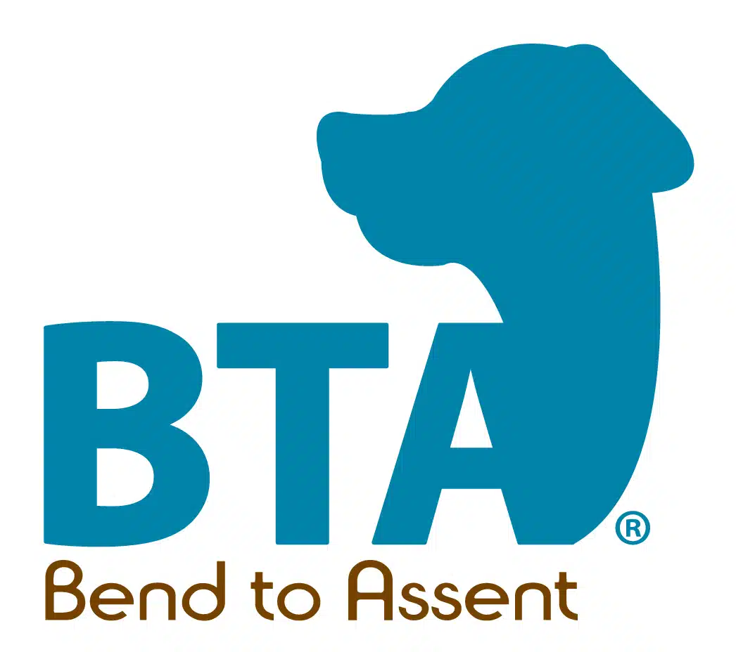 Introductieles BTA® methode