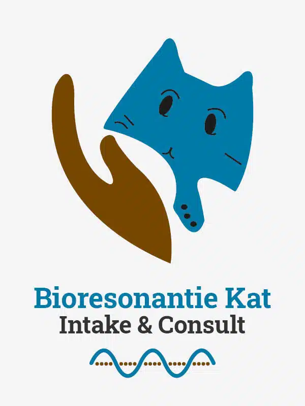 Bioresonantie kat intake en consult