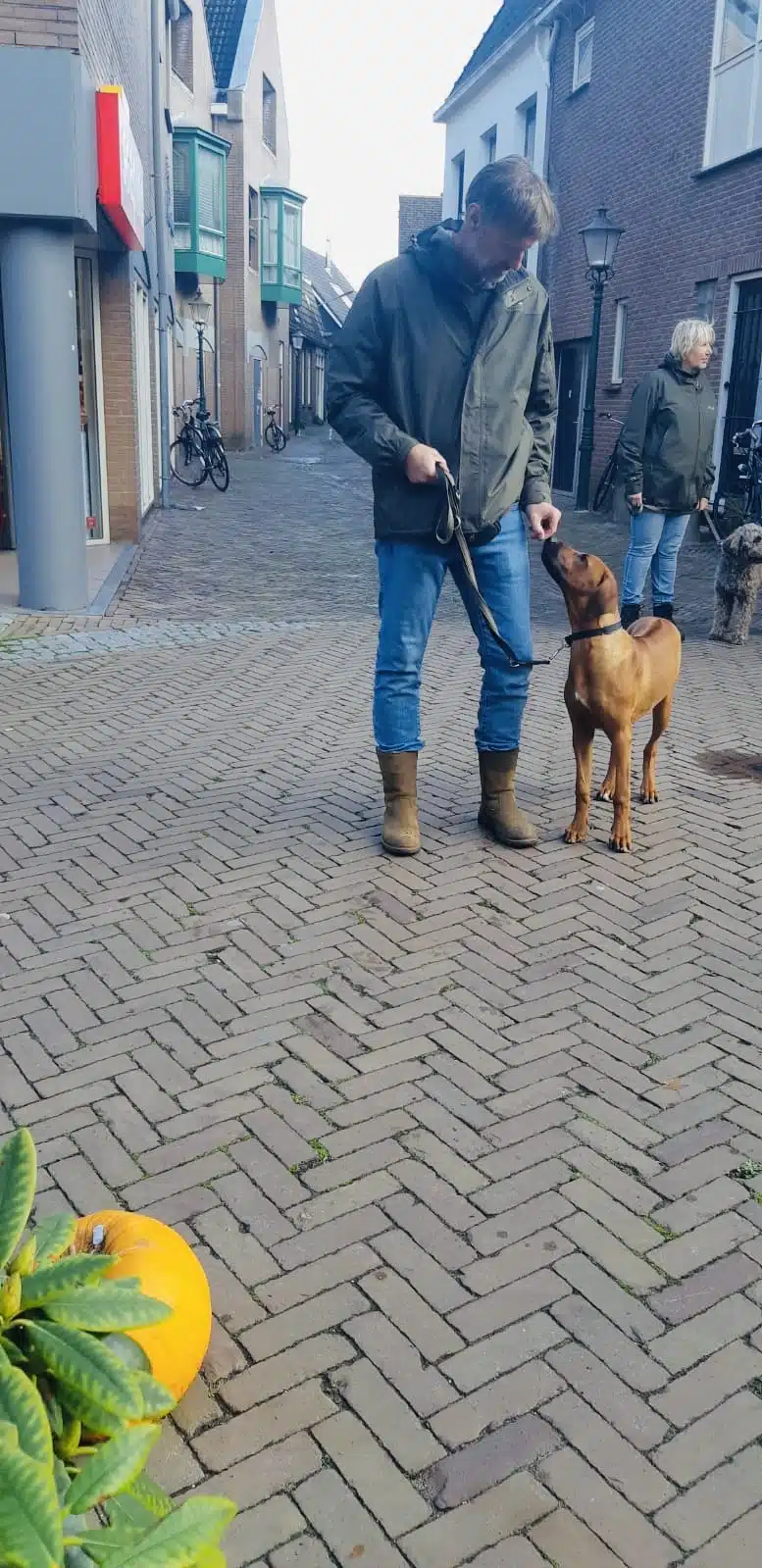 Een mooi, fijn en leerzaam weekend